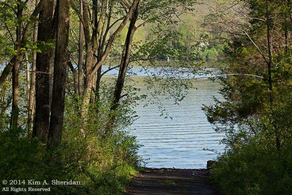 Nockamixon AM Walk_8106 a