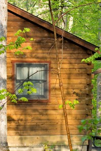 Nockamixon Cabin_7985 acs