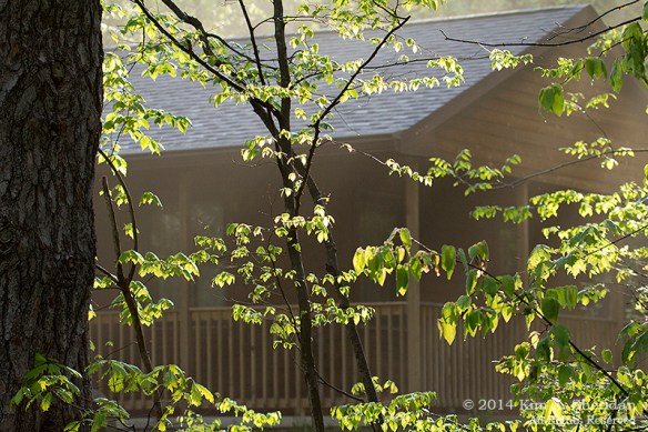 Nockamixon Cabin_8006 a