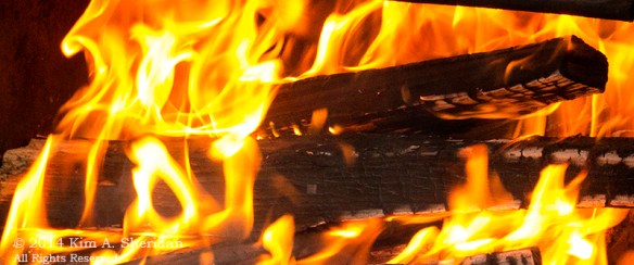 Nockamixon Camp Chow_7729