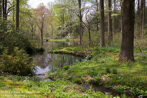 Mt Cuba 4 Ponds_6538a