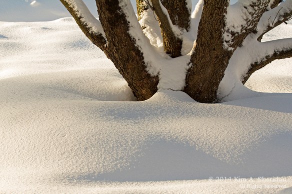 Snow Drifts_ 2267acs