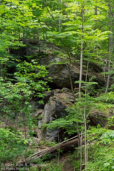 Wissahickon 3 Gold Mine Cave_9668a