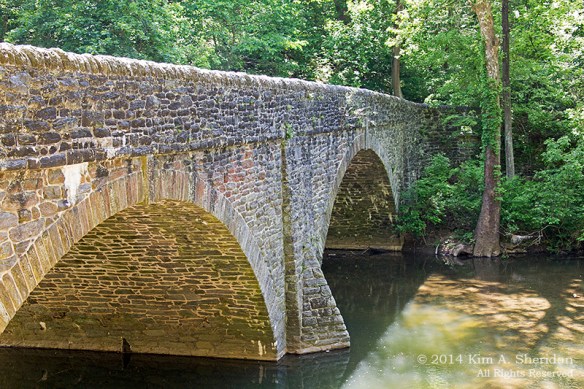 Wissahickon 4 Trail_9712acs
