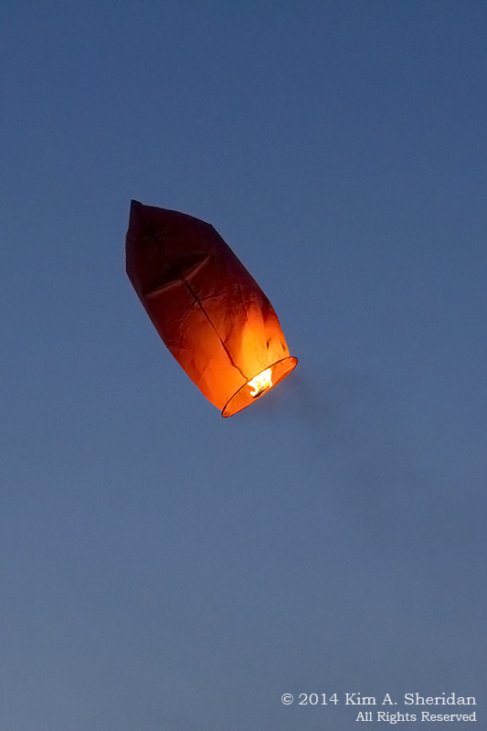 MI Fireworks Lantern_1926acs