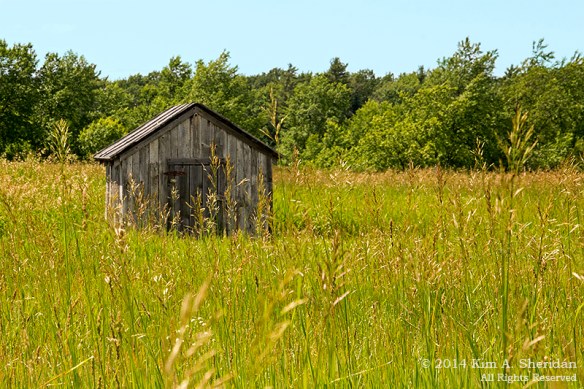 140703_MI 4 SLBE Port Oneida_0942acs