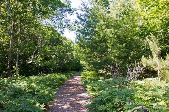 140703_MI 5 SLBE Alligator Hill_0989acs