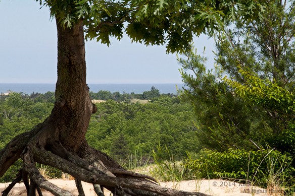 MI Ludington State Park_9626a