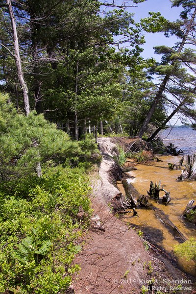 MI Ludington State Park_9695a