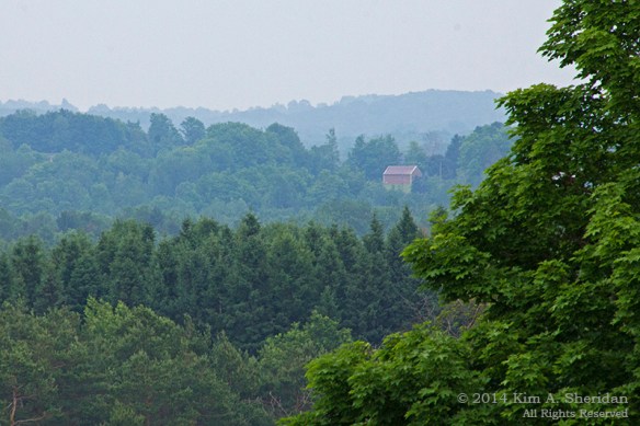 MI US-31 Overlook_9332acs