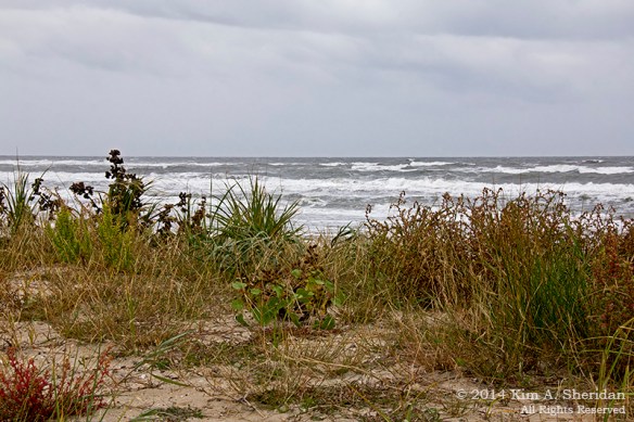 140924_OC Stormy Beach_2899acs
