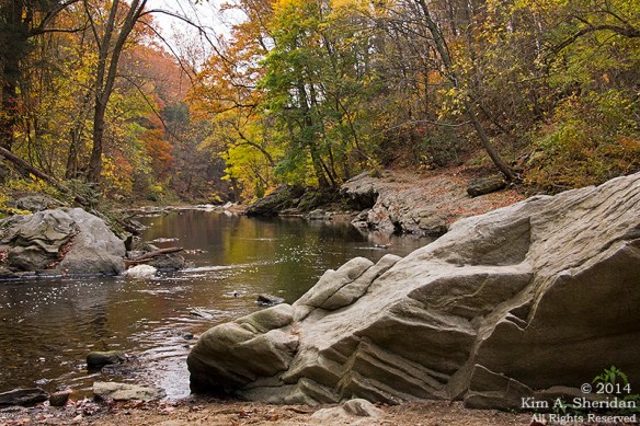 141031_Wissahickon Autumn_2638a