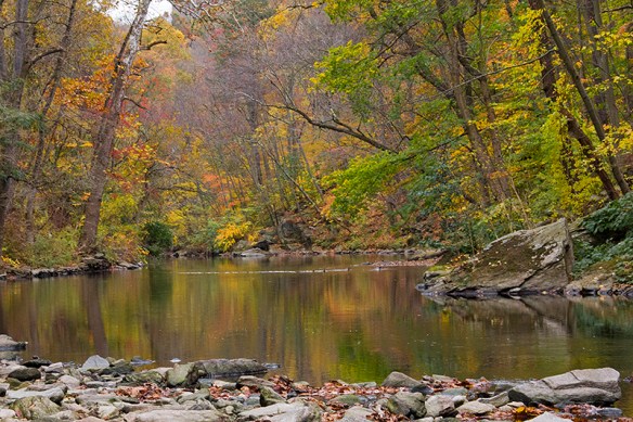 141031_Wissahickon Autumn_2745acs