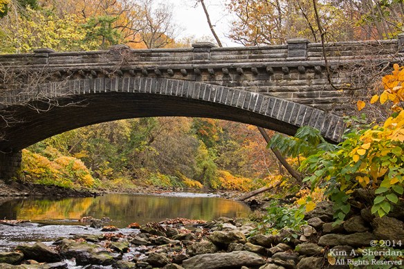 141031_Wissahickon Autumn_2792a