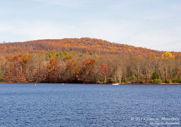 141109_Nockamixon Fall Camping_3230a