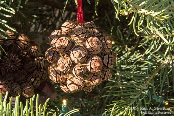 141225 Longwood Gardens_3346acs