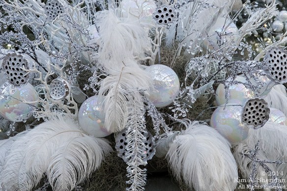 141225 Longwood Gardens_3373acs