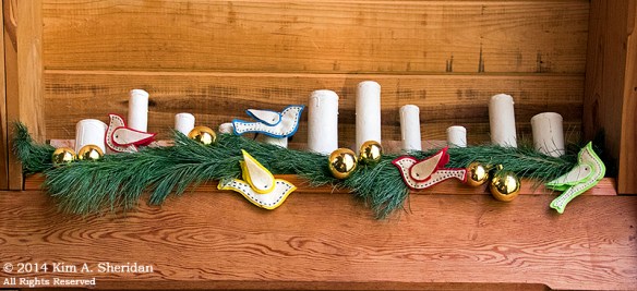 141225_Longwood Gardens_3610a