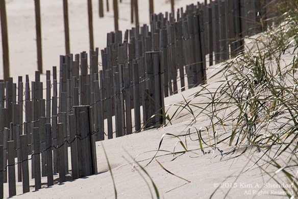 141122_NJ Stone Harbor Point_1555acs2