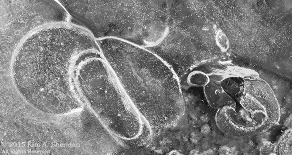 150207_VFAS Mill Grove_5206acd bw