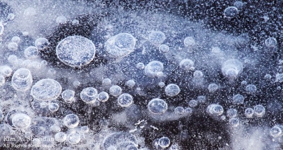 150207_VFAS Mill Grove_5236acs