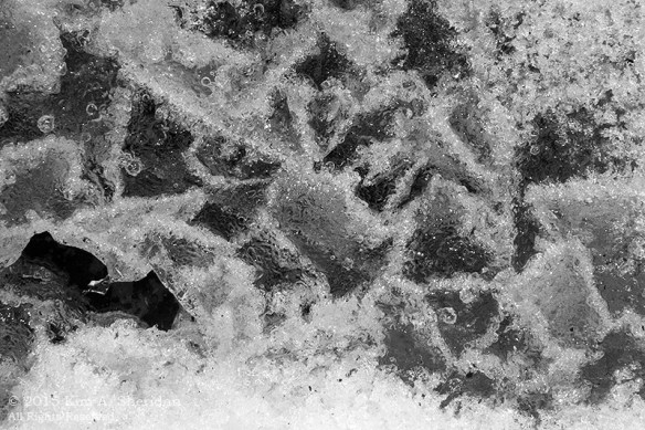 150207_VFAS Mill Grove_5242acs bw