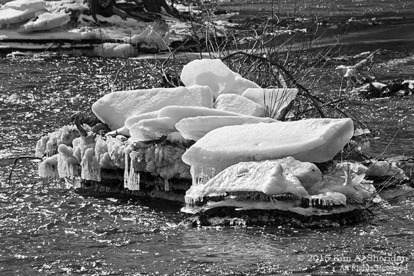 150207_VFAS Mill Grove_5313acs bw