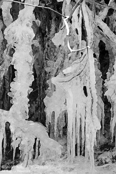 150207_VFAS Mill Grove_5369acs bw