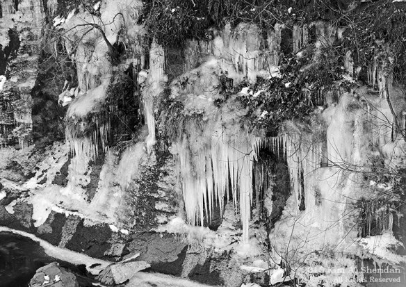 150207_VFAS Mill Grove_5375acs bw