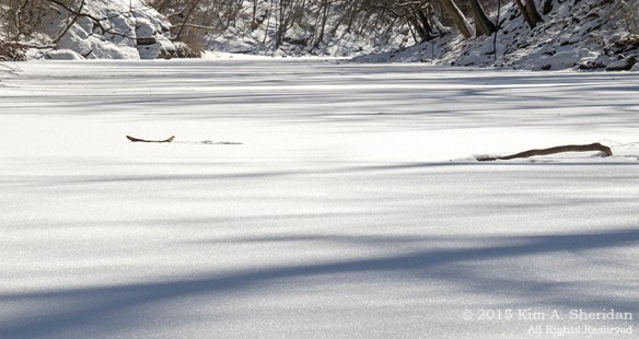 150218_Wissahickon In Snow_6624a