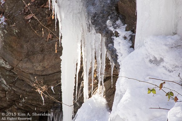 150218_Wissahickon In Snow_6679acs