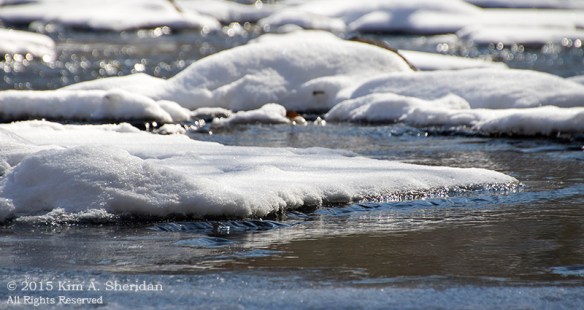 150218_Wissahickon In Snow_6759a