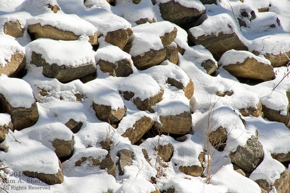 150218_Wissahickon In Snow_6945acs