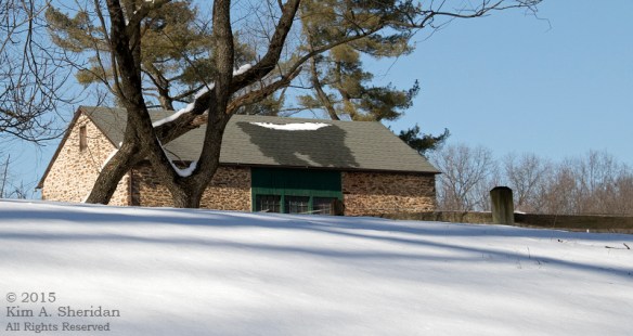 150218_Wissahickon In Snow_7049a