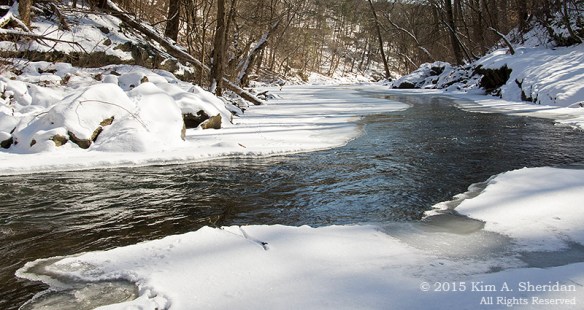 150218_Wissahickon In Snow_7153a
