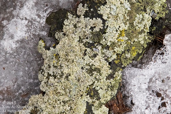 150201_PA VF Betzwood_5116acs