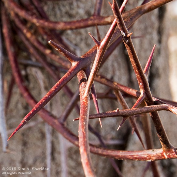 150207_VFAS Mill Grove_5291acs