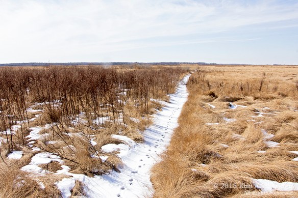 150228_Port Mahon Road_3425acs