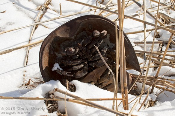 150228_Port Mahon Road_8400a