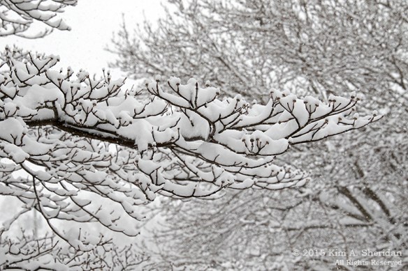 150305_Snow Day at Home_9181a