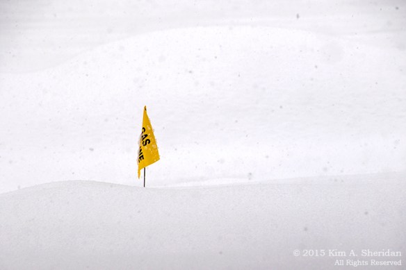 150305_Snow Day at Home_9214acs