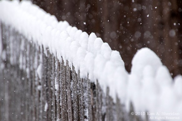 150305_Snow Day at Home_9345ac