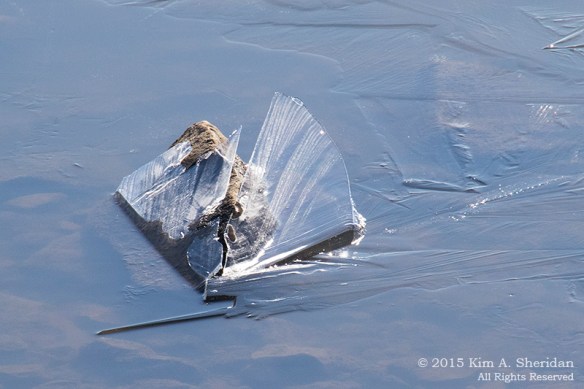 150307_HNWR 420 Snow_9877acs