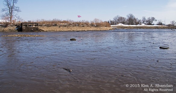 1 Fort Mifflin from the Mud Flats