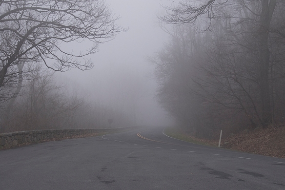Day 1: Fog in Shenandoah National Park