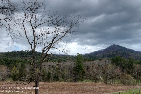 150413_TN GSMNP Cades Cove_4306_HDR acs copy