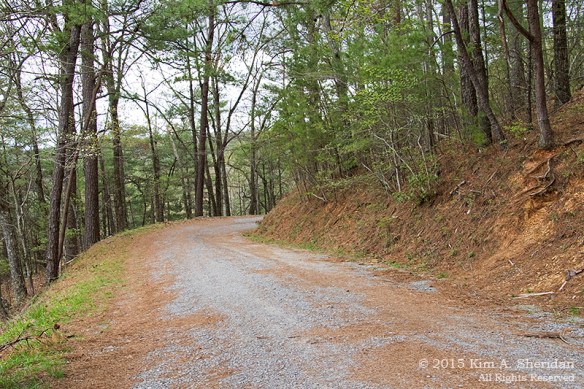 150413_TN GSMNP Rich Mountain Road_4473 acs