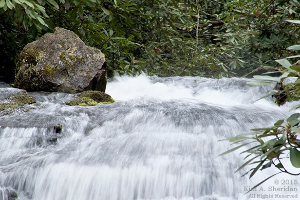 Indian Creek Falls, Indian Creek above Deep Creek.