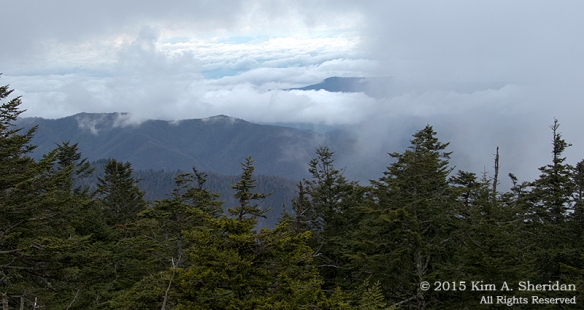 Day 10: Atop Clingman's Dome, Great Smoky Mountains National Park