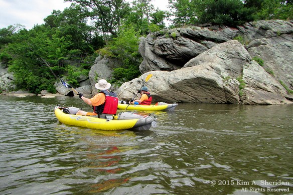 150417_PA Susquehanna Conowingo Pool_0289acs